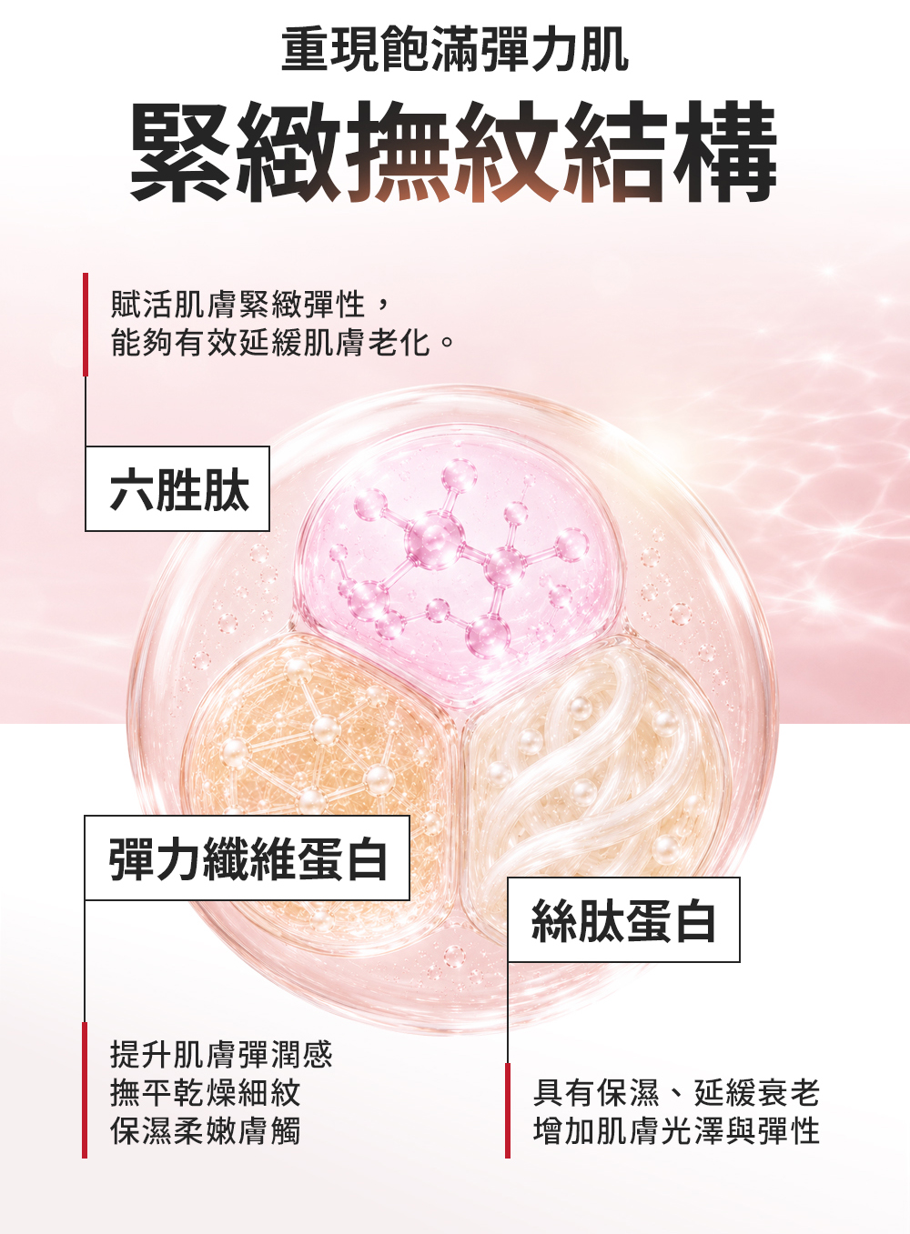 產品3成分功效，緊緻撫紋結構