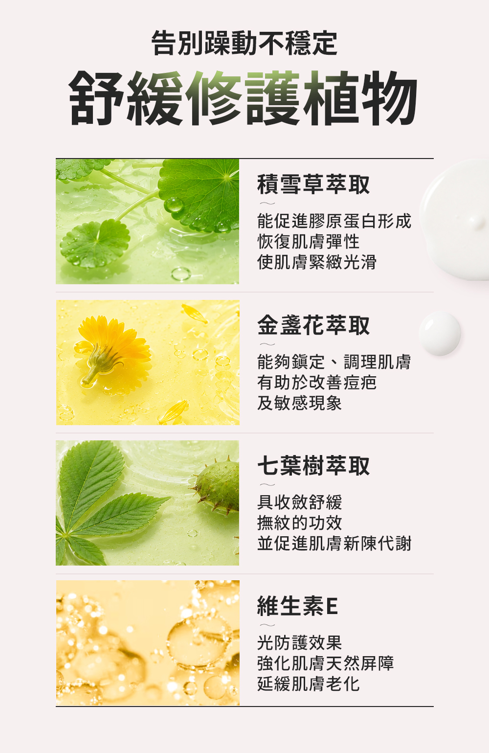 產品4成分功效，舒緩修護植物