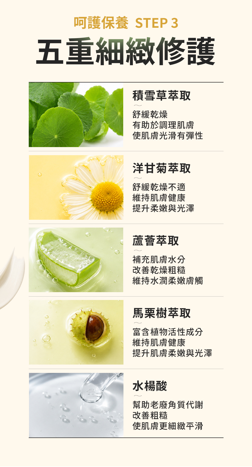 產品5成分功效，五重細緻修護