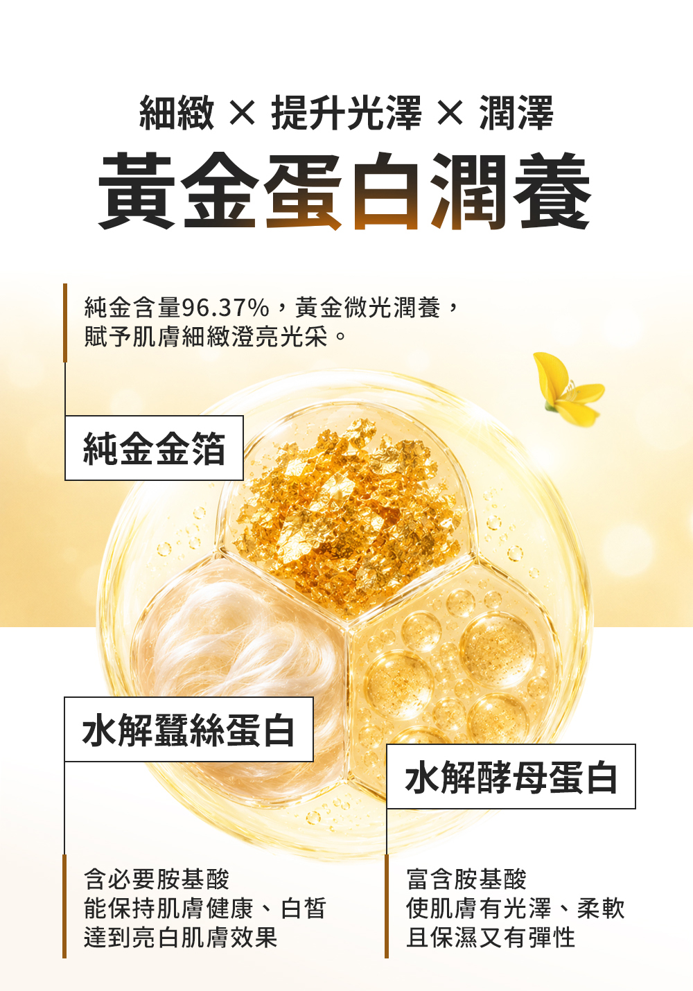 產品3成分功效，黃金蛋白潤養