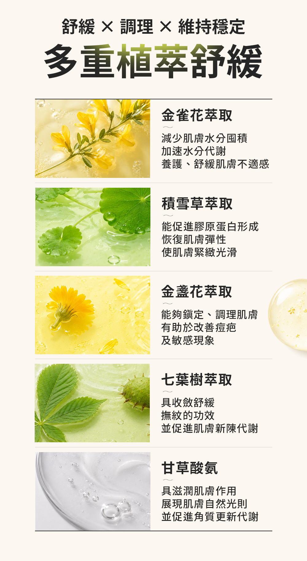 產品5成分功效，多重植萃舒緩
